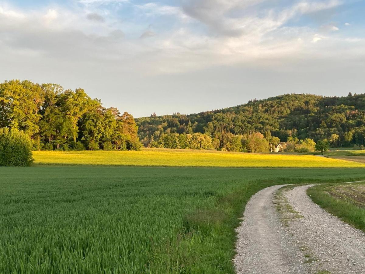 Buesingen Am Hochrhein Radfahren, Wandern, Natur Geniessen公寓 外观 照片