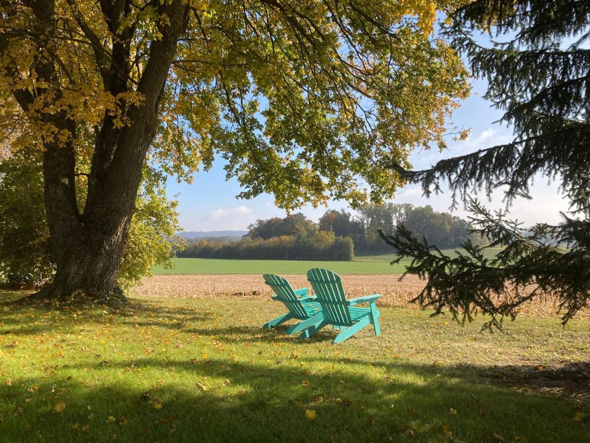 Buesingen Am Hochrhein Radfahren, Wandern, Natur Geniessen公寓 外观 照片